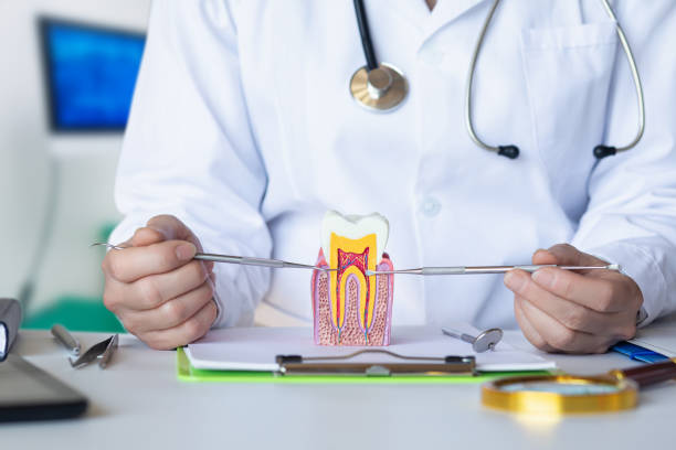 Best Urgent Dental Care for Toothache in Laurie, MO